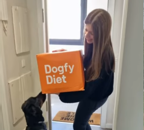 dogfy diet