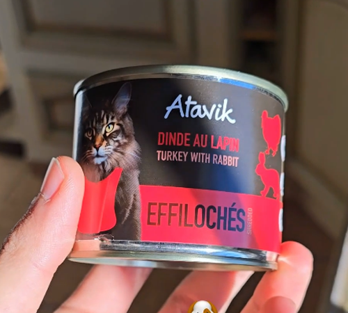 atavik pate chat
